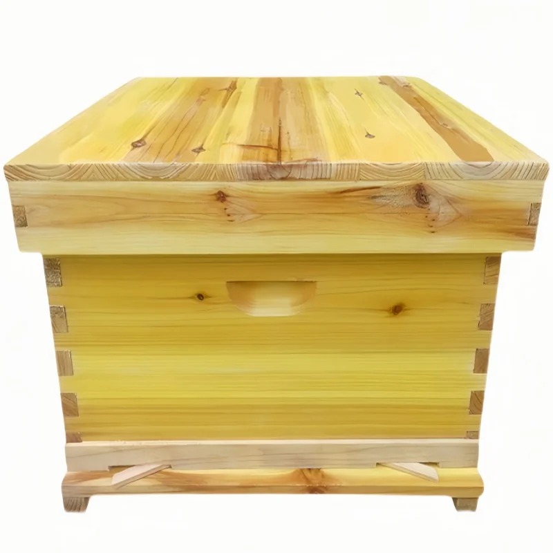 Beehive Frame Wax - Пчелиный улей в пчелиной коробке, полный